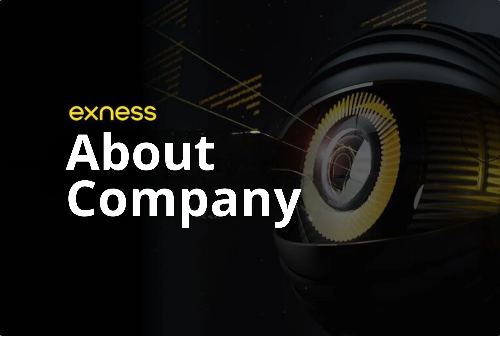 About Exness Company